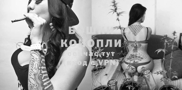 винт Новозыбков