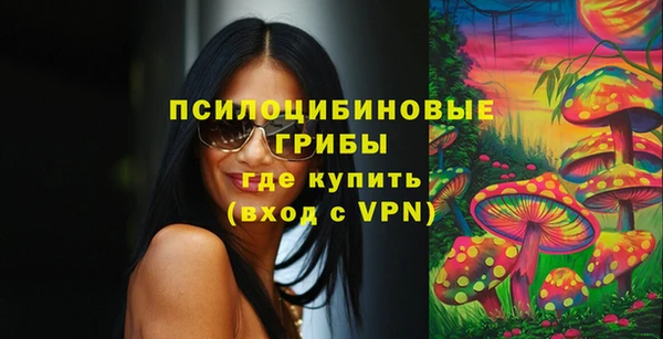 метадон Арсеньев