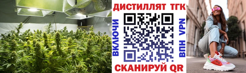 Дистиллят ТГК гашишное масло  наркота  Белинский 