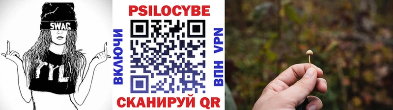 блэк спрут зеркало  Белинский  Псилоцибиновые грибы Psilocybe 
